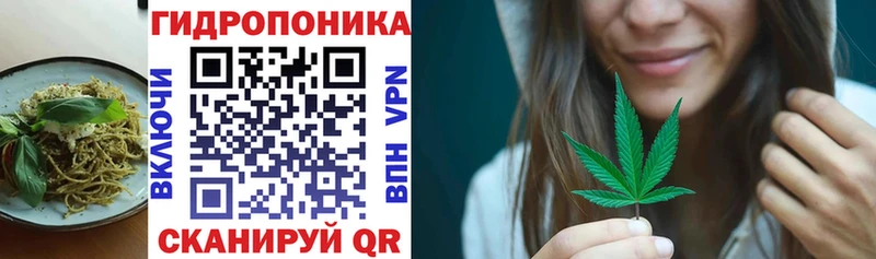 kraken   Берёзовка  это как зайти  Canna-Cookies конопля 