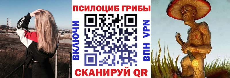 Галлюциногенные грибы мицелий  Берёзовка 